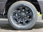 2025 Ram 2500 Crew Cab 4x4 Pickup for sale #D25D138 - photo 17