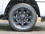 2025 Ram 2500 Crew Cab 4x4 Pickup for sale #D25D149 - photo 18
