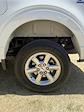 2024 Ford F-150 SuperCrew Cab 4x4 Pickup for sale #28298 - photo 29