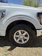 2024 Ford F-150 SuperCrew Cab 4x4 Pickup for sale #28298 - photo 31
