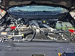 2025 Ford F-450 Crew Cab DRW 4x4 Pickup for sale #28422 - photo 40