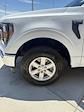2023 Ford F-150 SuperCrew Cab 4x4 Pickup for sale #28424 - photo 30