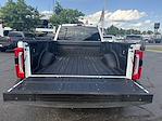 2024 Ford F-450 Crew Cab DRW 4x4 Pickup for sale #28432 - photo 24