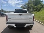 2020 Ford F-150 SuperCrew Cab 4x4 Pickup for sale #28468 - photo 6