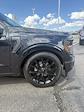 2024 Ford F-150 Regular Cab 4x4 Pickup for sale #28469 - photo 21