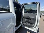 2024 Ford F-150 SuperCrew Cab 4x4 Pickup for sale #28514 - photo 20
