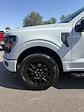2024 Ford F-150 SuperCrew Cab 4x4 Pickup for sale #28514 - photo 30