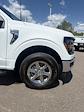 2024 Ford F-150 SuperCrew Cab 4x4 Pickup for sale #28516 - photo 27