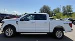 2024 Ford F-150 SuperCrew Cab 4x4 Pickup for sale #28516 - photo 5