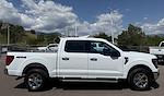 2024 Ford F-150 SuperCrew Cab 4x4 Pickup for sale #28516 - photo 8