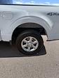 2024 Ford F-150 SuperCrew Cab 4WD Pickup for sale #28634 - photo 30