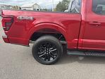 2025 Ford F-150 SuperCrew Cab 4WD Pickup for sale #28659 - photo 29