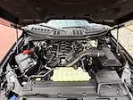 2025 Ford F-150 SuperCrew Cab 4WD Pickup for sale #28660 - photo 33