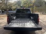 2025 Ford F-150 SuperCrew Cab 4WD Pickup for sale #28692 - photo 23