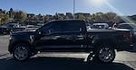 2024 Ford F-150 SuperCrew Cab 4WD Pickup for sale #28708 - photo 8