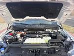 2025 Ford F-150 SuperCrew Cab 4WD Pickup for sale #28732 - photo 33