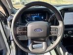 2024 Ford F-150 SuperCrew Cab 4WD Pickup for sale #28949 - photo 15