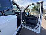 2024 Ford F-150 SuperCrew Cab 4WD Pickup for sale #28949 - photo 25