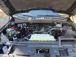 2025 Ford F-150 SuperCrew Cab 4WD Pickup for sale #415131A - photo 31