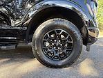 2025 Ford F-150 SuperCrew Cab 4WD Pickup for sale #415131A - photo 35