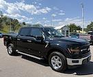 2024 Ford F-150 SuperCrew Cab 4WD Pickup for sale #494180A - photo 1