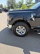 2024 Ford F-150 SuperCrew Cab 4WD Pickup for sale #494180A - photo 29