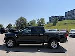 2024 Ford F-150 SuperCrew Cab 4WD Pickup for sale #494180A - photo 5