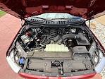 2023 Ford F-150 SuperCrew Cab 4x4 Pickup for sale #623357 - photo 33