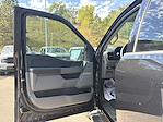 New 2024 Ford F-150 XLT SuperCrew Cab 4WD Pickup for sale #624171 - photo 9