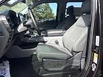 New 2024 Ford F-150 XLT SuperCrew Cab 4WD Pickup for sale #624171 - photo 11