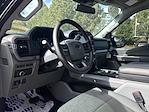 New 2024 Ford F-150 XLT SuperCrew Cab 4WD Pickup for sale #624171 - photo 12