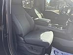 New 2024 Ford F-150 XLT SuperCrew Cab 4WD Pickup for sale #624171 - photo 29