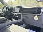 New 2024 Ford F-150 XLT SuperCrew Cab 4WD Pickup for sale #624171 - photo 30