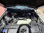 2025 Ford F-150 SuperCrew Cab 4x4 Pickup for sale #625001 - photo 29