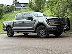 2025 Ford F-150 SuperCrew Cab 4x4 Pickup for sale #625015 - photo 23