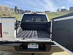 2025 Ford F-150 SuperCrew Cab 4x4 Pickup for sale #625053A - photo 10
