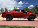 New 2025 Ford F-150 STX SuperCrew Cab 4WD Pickup for sale #625136 - photo 10