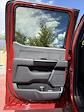 New 2025 Ford F-150 STX SuperCrew Cab 4WD Pickup for sale #625136 - photo 21