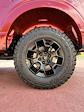New 2025 Ford F-150 STX SuperCrew Cab 4WD Pickup for sale #625136 - photo 34