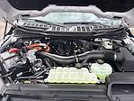 New 2025 Ford F-150 Lariat SuperCrew Cab 4WD Pickup for sale #625160 - photo 33