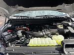 New 2025 Ford F-150 Platinum SuperCrew Cab for sale #625175 - photo 34