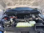 New 2025 Ford F-150 XL SuperCrew Cab for sale #625178 - photo 33