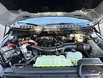 New 2025 Ford F-150 Platinum SuperCrew Cab 4WD Pickup for sale #625187 - photo 37
