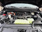 New 2025 Ford F-150 King Ranch SuperCrew Cab 4WD Pickup for sale #625224 - photo 33