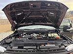 Used 2024 Ford F-250 Shelby Crew Cab for sale #625257A - photo 38