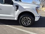 2023 Ford F-150 SuperCrew Cab 4WD Pickup for sale #645007A - photo 31