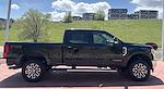 2017 Ford F-350 Crew Cab SRW 4x4 Pickup for sale #645025A - photo 8