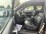 2019 Toyota Tacoma Double Cab 4x4 Pickup for sale #655034A - photo 10