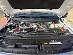 2024 Ford F-350 Crew Cab DRW 4WD Pickup for sale #666002A - photo 33
