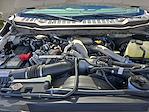 2024 Ford F-350 Crew Cab SRW 4WD Pickup for sale #83253 - photo 49